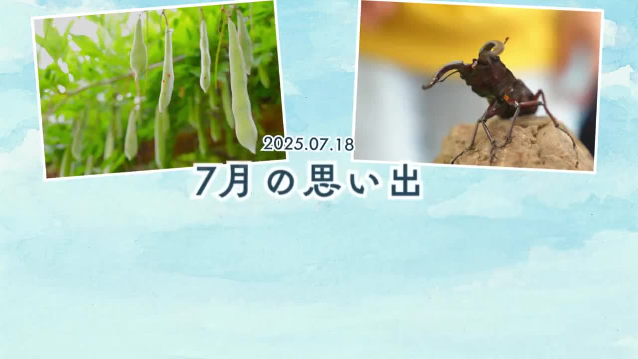 7月