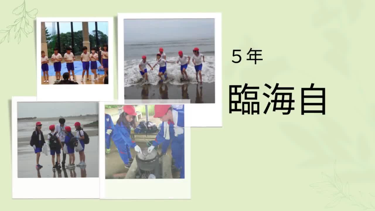 5年臨海自然教室
