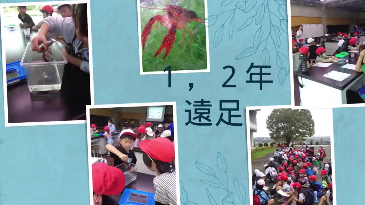 1,2年遠足