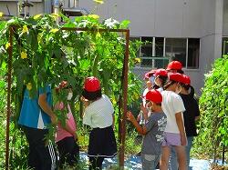 第５学年 那須烏山市立烏山小学校