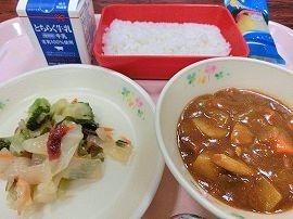 チキンカレー　こんにゃくサラダ　フレッシュパイン