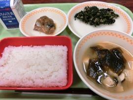 【南那須中学校 1年1組献立】 ごはん 牛乳 さば味噌煮 のり酢あえ 豆腐とわかめの味噌汁 【南那須中学校 1年1組献立】 ごはん 牛乳 さば味噌煮 のり酢あえ 豆腐とわかめの味噌汁