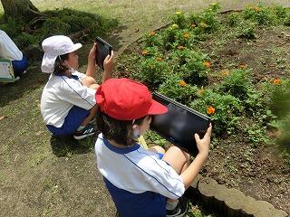 ホーム 那須烏山市立七合小学校