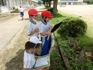 ホーム 那須烏山市立七合小学校